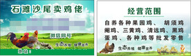 鸡场名片