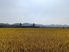 双塔