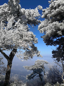 庐山雪景摄影图