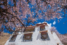 林芝桃花沟 