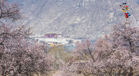 林芝桃花沟
