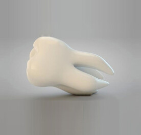 C4D模型牙齿