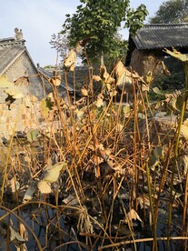 山村一角