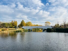 美丽的公园湖泊美景