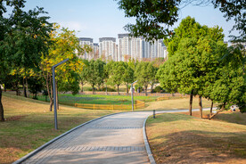 公园风景