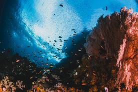 海底世界