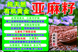 亚麻籽