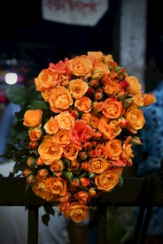 橙色玫瑰花