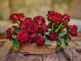 玫瑰花