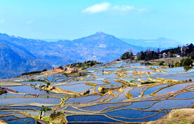 元阳哈尼梯田风光