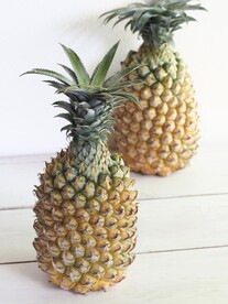 菠萝