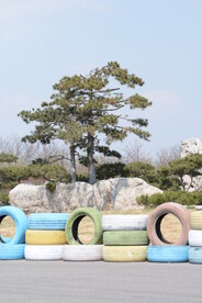 公园假山迎客松