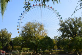  公园风景 
