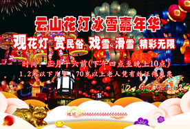 花灯冰雪嘉年华 赏花灯