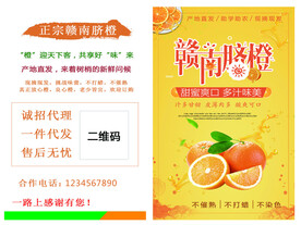 赣南脐橙名片卡片