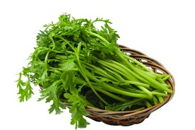 茼蒿
