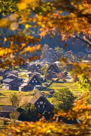 白川乡
