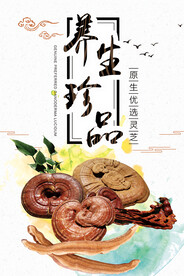 灵芝