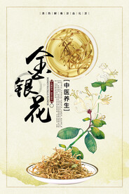 金银花