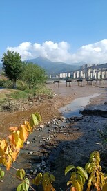 滩涂 小溪 河边