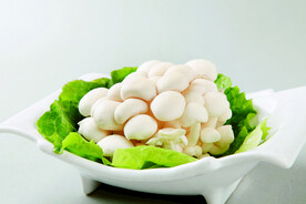 白玉菇