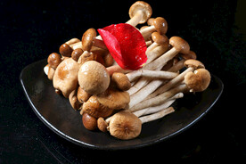 山珍菌类鲜茶树菇