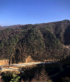 光头山