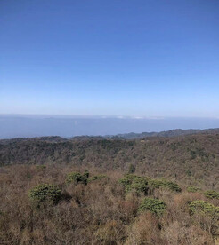 光头山