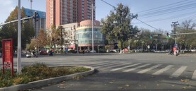 北方冬日街道斑马线十字路口