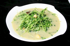 上汤豆苗