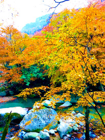 巴中光雾山风光