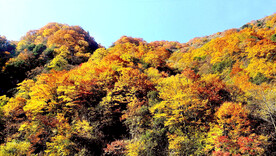 巴中光雾山风光