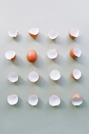 蛋壳