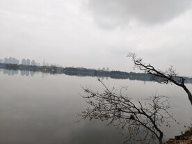 湖边秋色