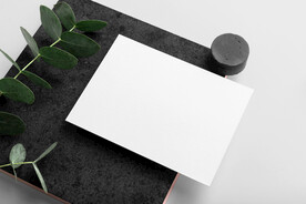 卡片名片VI设计高级场景样机 