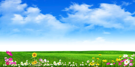 蓝天白云绿草地