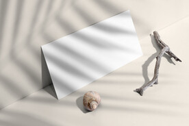 VI设计名片光影场景样机