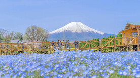 富士山旅游摄影