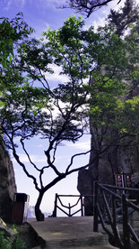 春天爬山绿树松树蓝天