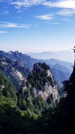 春天爬山绿树松树蓝天