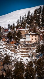 雪景 图片