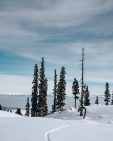 雪景图片