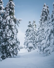 雪景图片