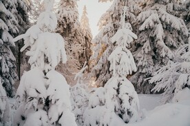 雪景图片