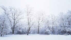 浪漫雪花纷飞雪景