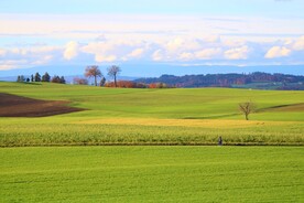 田园风景