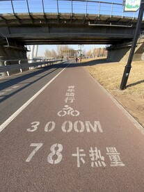 自行车道