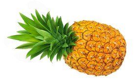 菠萝