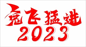 兔飞猛进 2023