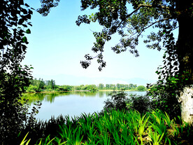 北京翠湖国家湿地公园